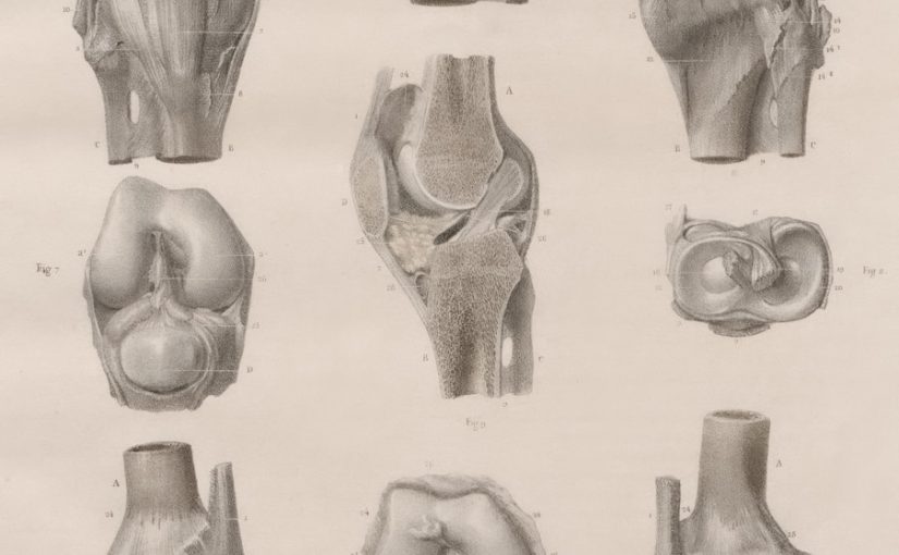 Bouncing Back: How Modern Evidence-Based Knee Rehab Makes a Difference