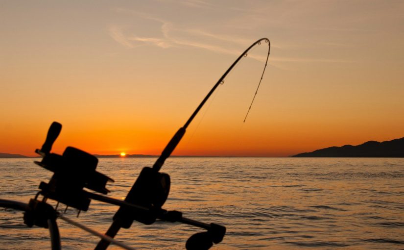 The Secret Sauce: What Makes a Piece of Fishing Gear Truly Great?