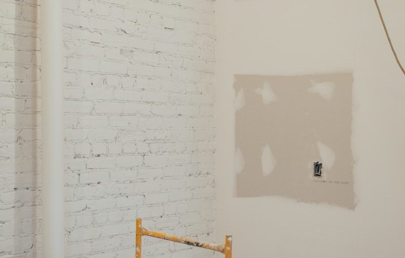 Paint or Plaster for Your Facade in Thun? What You Need to Know